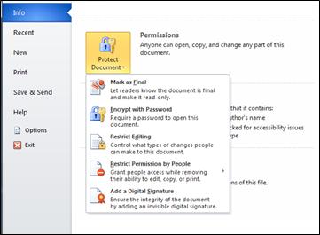 how protect a word document 2013 from editing and copying