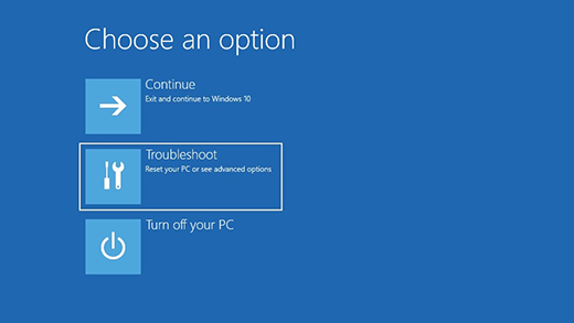 Choose an option screen in the Windows Recovery Environment.