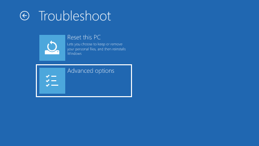 Troubleshoot screen in the Windows Recovery Environment.