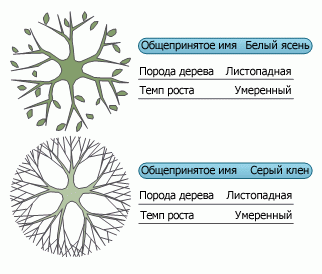 Visio